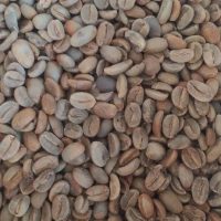 KP-Arabica G1
