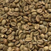 KP-Robusta G1