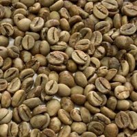 KP-Robusta SP