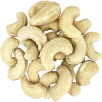 cashew_nuts_nusa